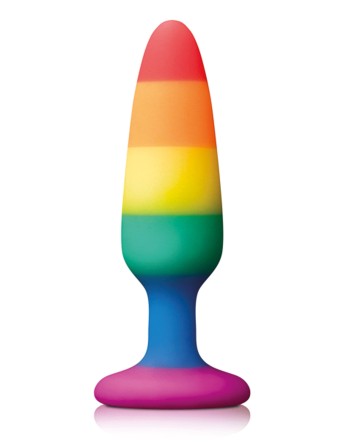 Plug en silicone Rainbow 10 x 2.8 cm