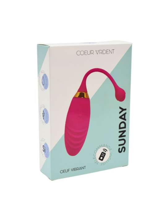 SUNDAY, Un Œuf vibrant USB avec télécommande, dans un silicone médical doux et rainuré - B21PNK