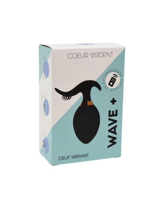 WAVE , Un Œuf vibrant noir USB avec stimulation clitoridienne, doté d'une télécommande - B54BLK
