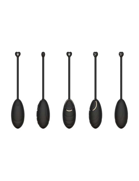 Œuf vibrant noir avec télécommande USB - DAISYBLACK