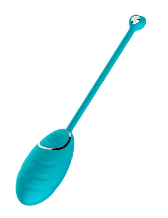 Œuf vibrant bleu avec télécommande USB - DAISYBLUE