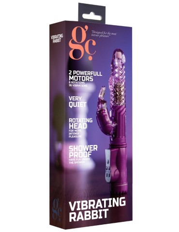 Vibro rabbit rotatif Vibe Coin 23cm Violet 2