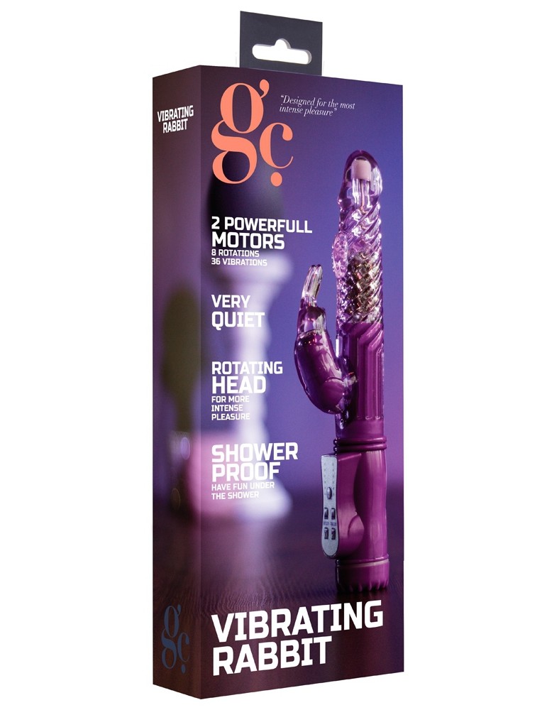 Vibro rabbit rotatif Vibe Coin 23cm Violet