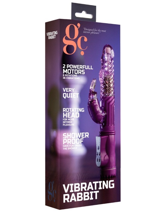 Vibro rabbit rotatif Vibe Coin 23cm Violet