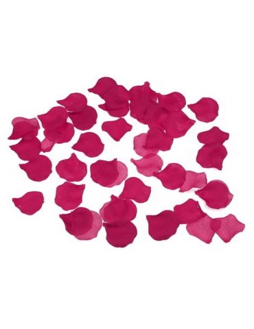 Fausses Pétales de Fleur x100 Fuchsia