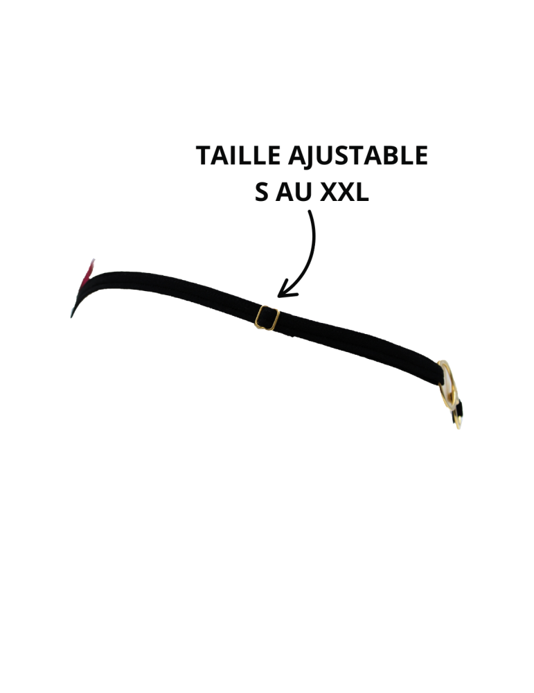 String bordeaux avec anneaux détachables - PM05GOPC-BRED