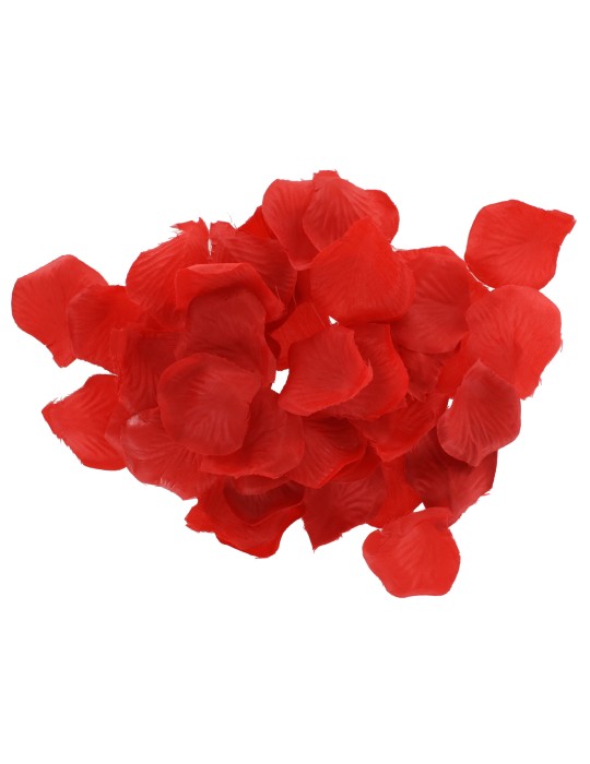 Pack Amazing Pleasure 10 Sextoys