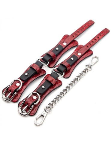 Kit BDSM 7 Pièces Caïman Rouge 2