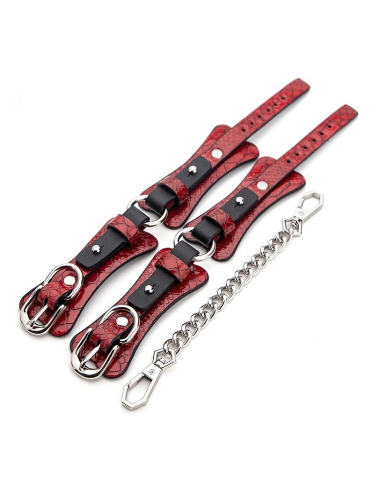 Kit BDSM 7 Pièces Caïman Rouge