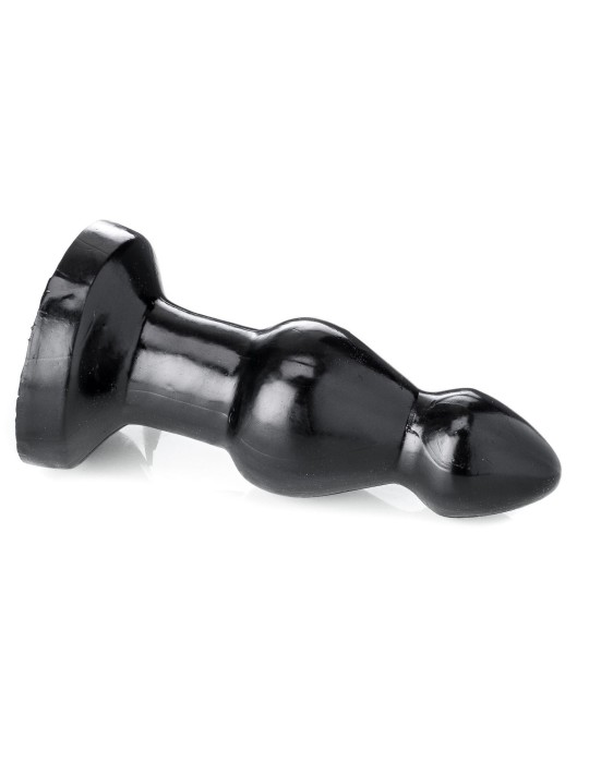 STEGOCEROS 22 x 8.5 cm