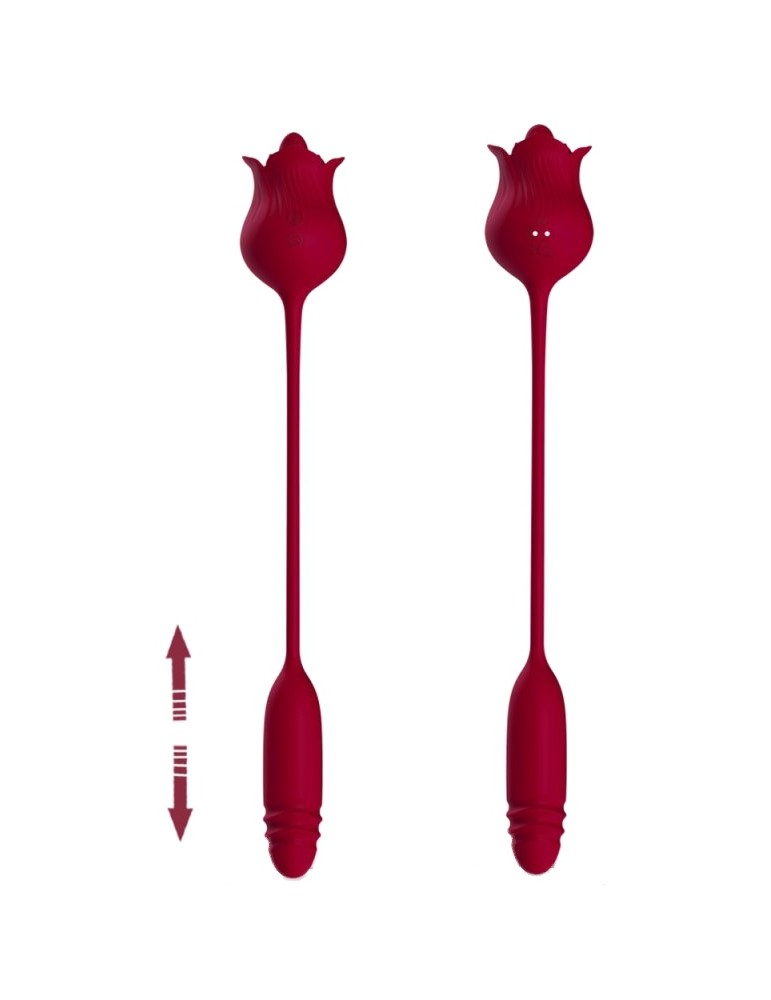Stimulateur et Vibro Dwich Rose