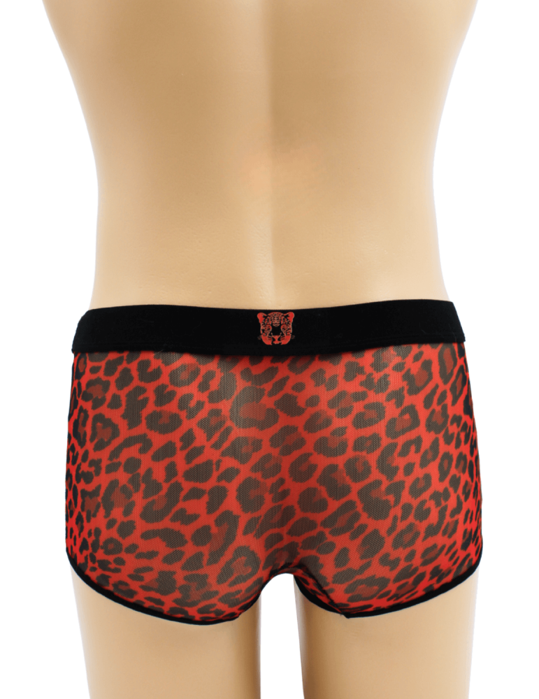 Boxer en résille imprimé léopard rouge - LM2501-67RED