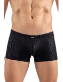 Boxer noir  gold Zebra - LM2403-67BLK