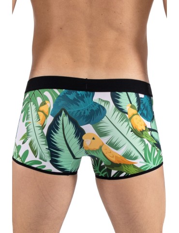 Boxer imprimé oiseau chanteur, Bird Singer - LM2402-67BIR 2