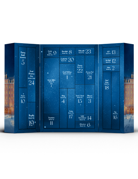 Calendrier de l’Avent Coquin Satisfyer Premium 2025 – 24 surprises - SAPREMIUM