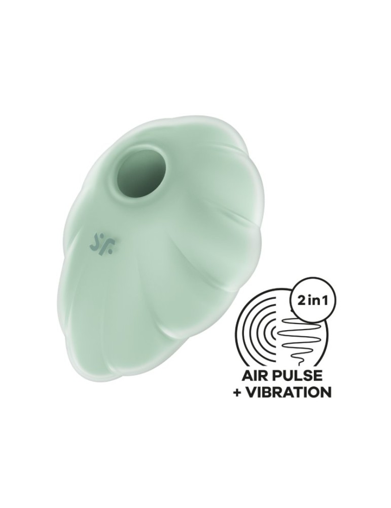 Stimulateur clitoridien par onde de pression sans contact et par vibration USB vert menthe, Cloud Dancer Satisfyer - CC597838 Stimulateur clitoridien par onde de pression sans contact et par vibration USB vert menthe, Cloud Dancer Satisfyer - CC597838