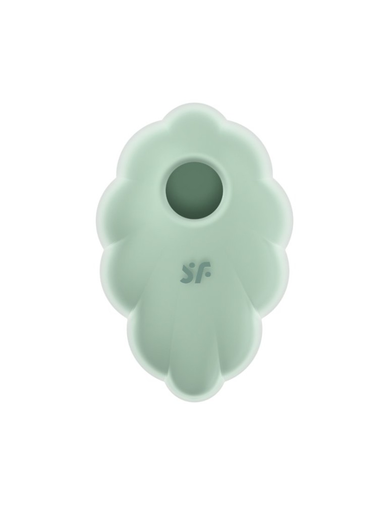 Stimulateur clitoridien par onde de pression sans contact et par vibration USB vert menthe, Cloud Dancer Satisfyer - CC597838