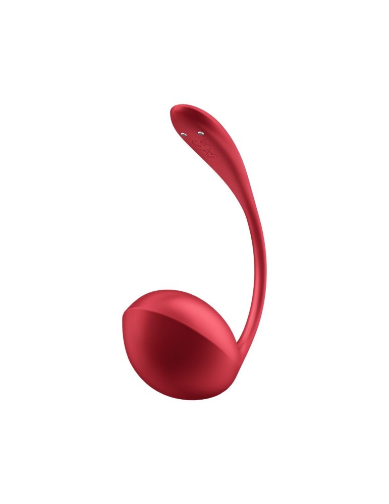 Oeuf vibrant télécommandé rouge Shiny Petal Satisfyer - CC597863