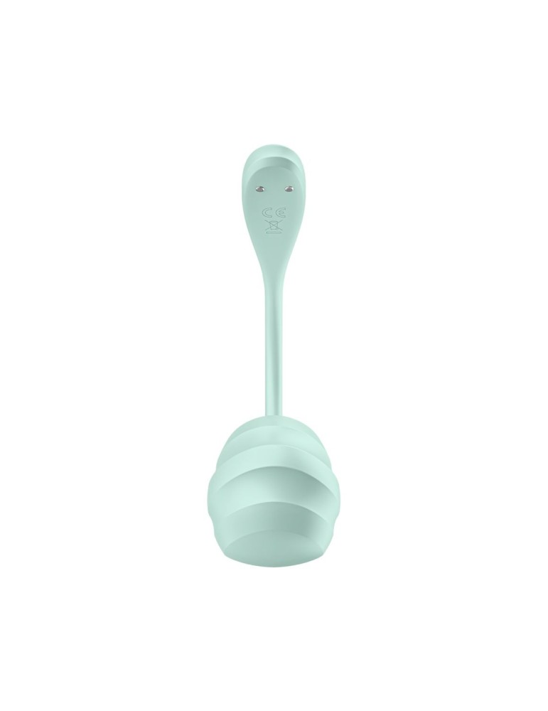 Oeuf vibrant vert menthe Smooth Petal Satisfyer - CC597862