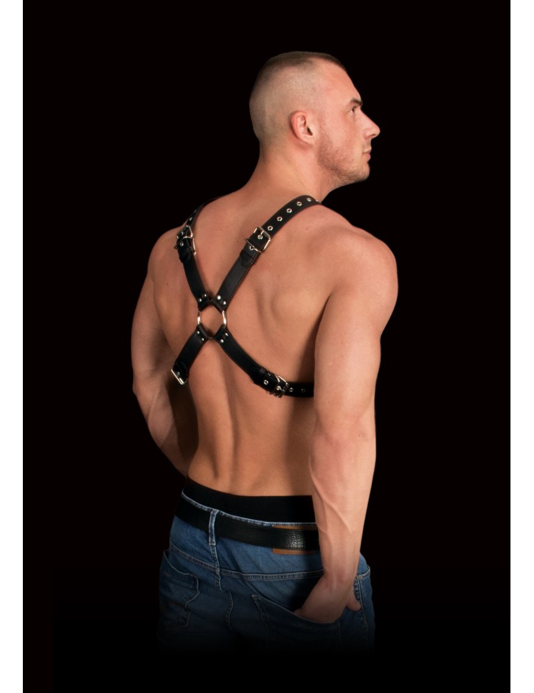 Harnais Adonis Forme X