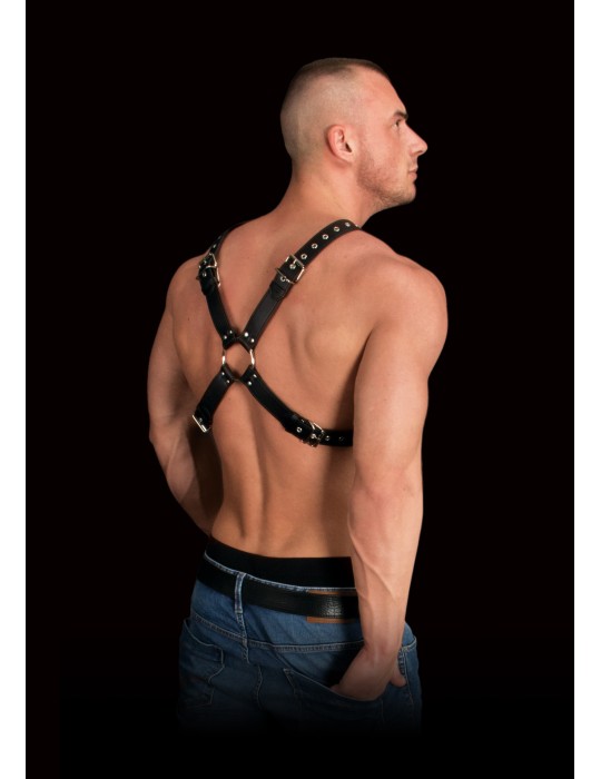 Harnais Adonis Forme X