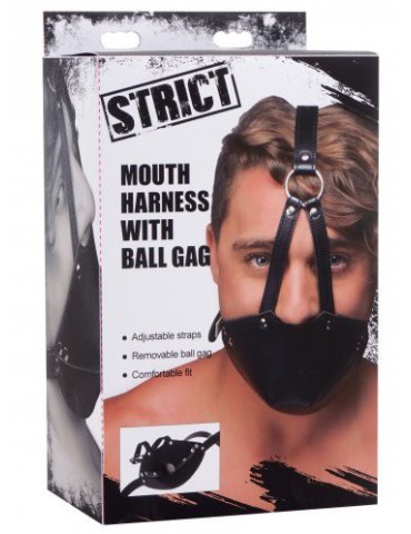 Masque de Bouche avec Baillon Boule 2