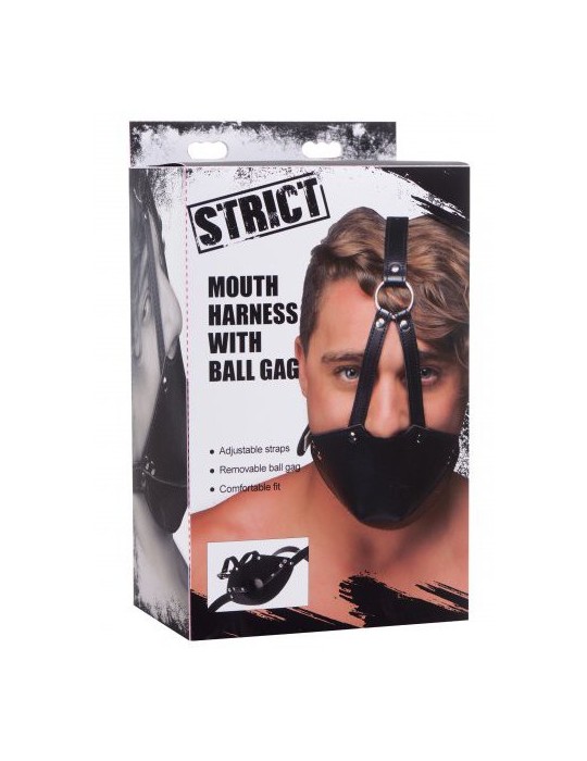 Masque de Bouche avec Baillon Boule