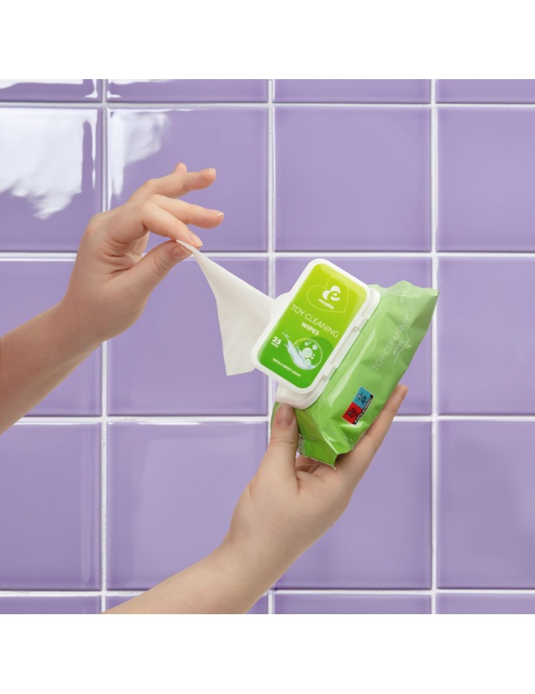 Lingettes nettoyantes Toy Cleaning x25