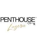 PENTHOUSE