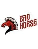 Bad Horse